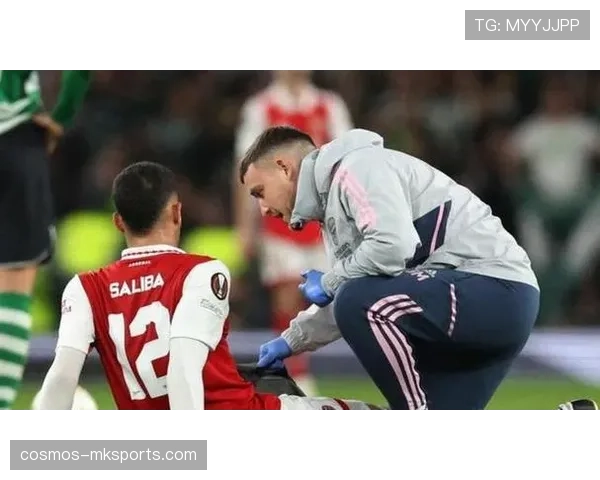 萨利巴防守稳健助阿森纳争冠前景升温 萨利巴防守稳健助阿森纳争冠前景升温